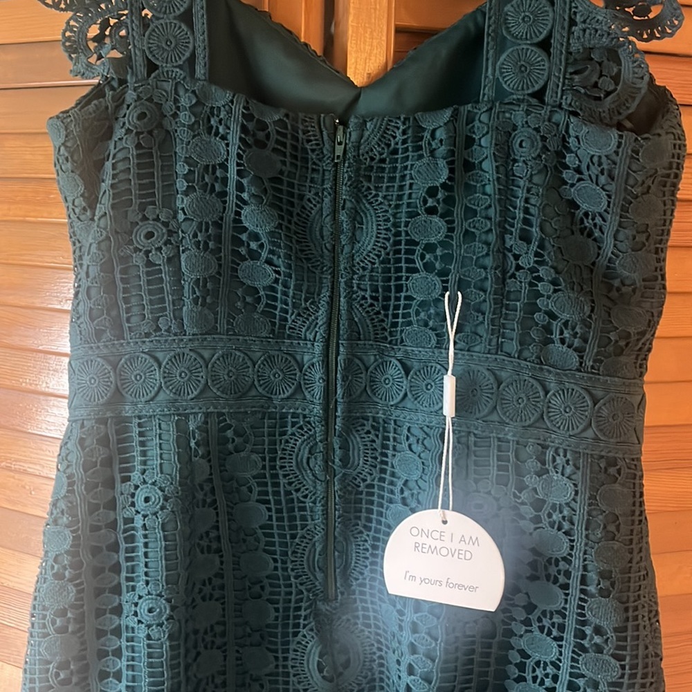 NWT- Two Sisters Green lace special occasion holiday dress size S - Picture 9 of 13